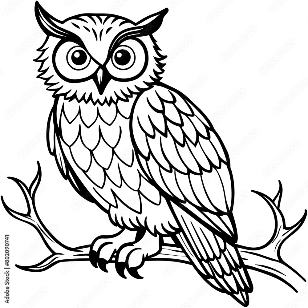 owl coloring book page (24) owl coloring book page (24)
