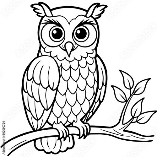 owl coloring book page (21)