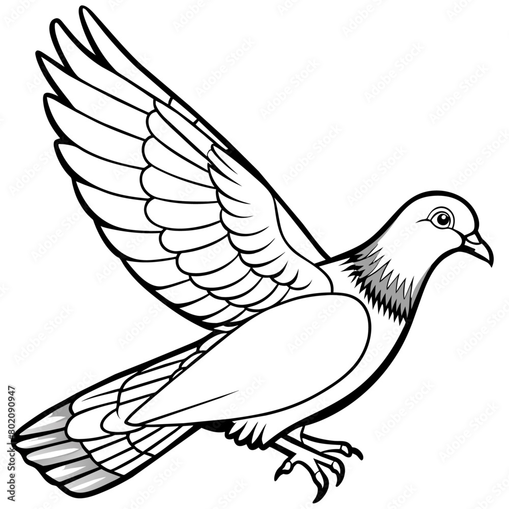 Fototapeta premium pigeon bird coloring book page vector illustration (19)