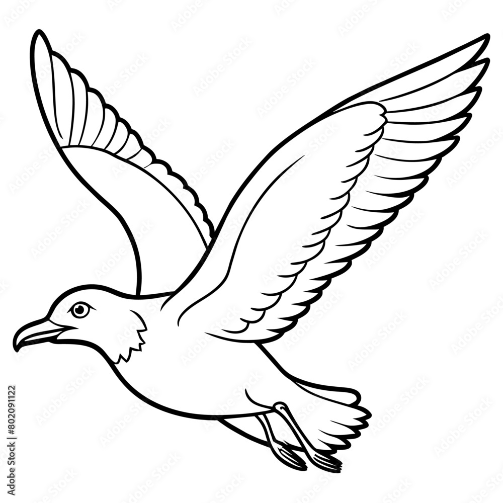 seagull bird Coloring book vector art illustration (21)