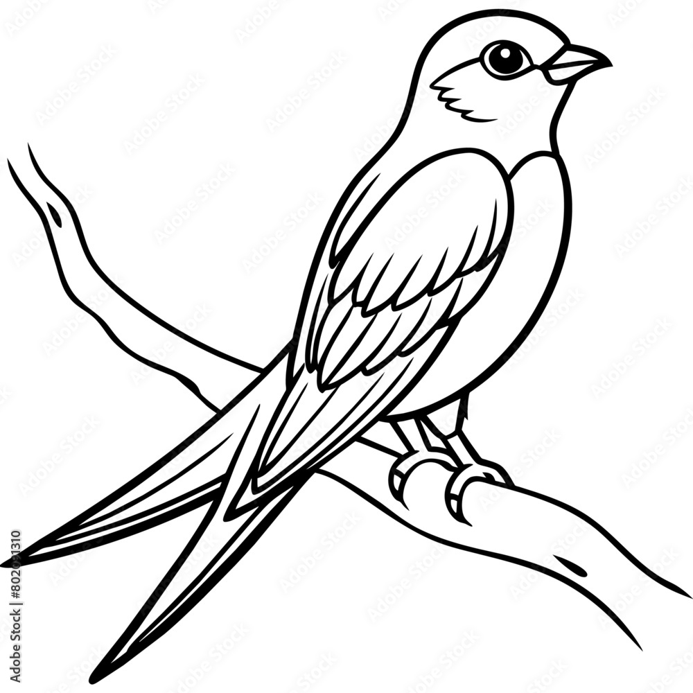 swallow bird coloring book page vector art illustration, solid white background (29)