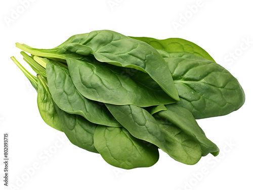 a bunch of spinach leaves photo
