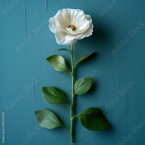 AI generated illustration of a white flower with ample copy space against a blue background