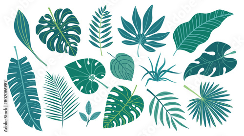 Set of green exotic leaves. Tropical leaves in simple flat design isolated on white background. Vector illustration. 