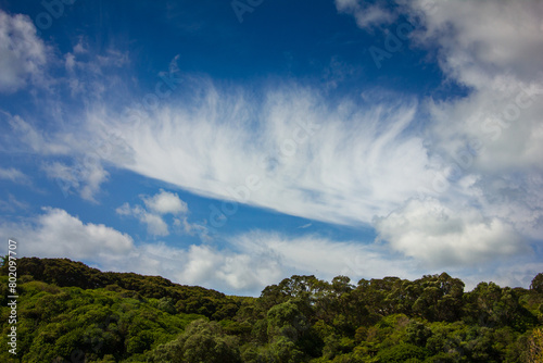 Dramatic skyscape with ornamental clouds. Natural Texture Background. Concept of peace, hope, heaven