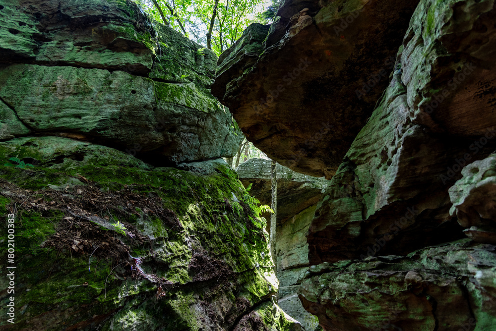 A city of boulders hidden under the forest canopy. A city of boulders hidden under the forest canopy.