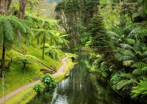 Lush vegetation and colorful plants of Terra Nostra botanical garden in Furnas, Azores photo