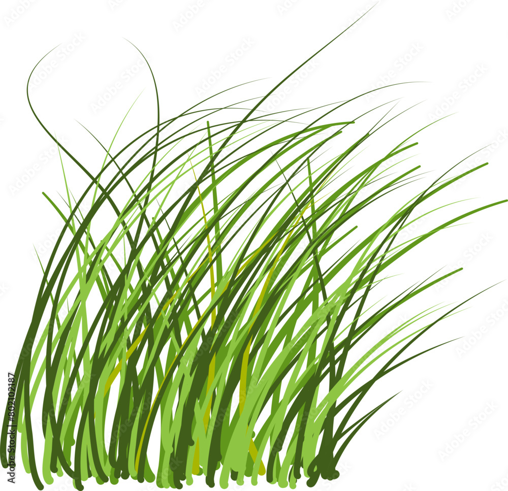 Naklejka premium Grass Illustration. Green grass clipart.