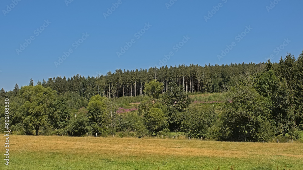 Meadows and trees in the hills of Ardennes, Belgium. Meadows and trees in the hills of Ardennes, Belgium.