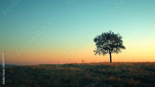 Minimalist Nature Skyline  A photo showcasing the minimalist skyline of a natural landscape