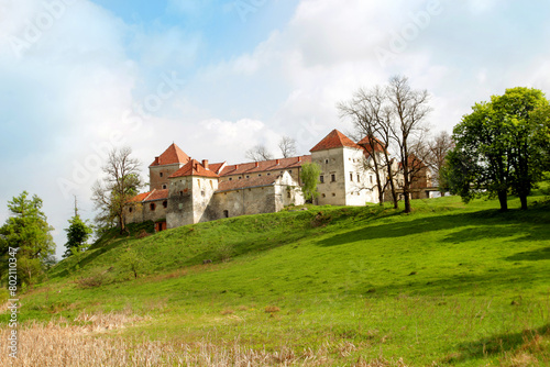 An ancient castle in the forest. Beautiful historical architecture. Fairytale palace against the blue sky. An ancient building. Excavations and archaeology.