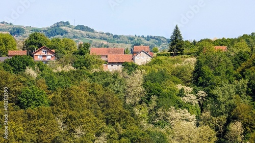 Beautiful green landscape  vineyards and houses at Klenice  Croatia  Hrvatsko zagorje  agricultural countryside