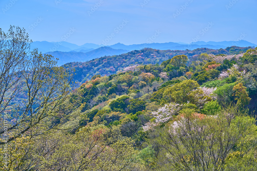 春の徳島県徳島市眉山町の眉山公園から西側の花咲く新緑の山と遠方の山々