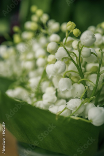 Lily of the valley flowers. Natural background with blooming lilies of the valle