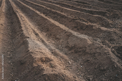 Plowed sown agricultural field with black fertile soil. Spring landscape with agricultural plantation land. Soil surface, prepared for a farmland. Agriculture, farming background