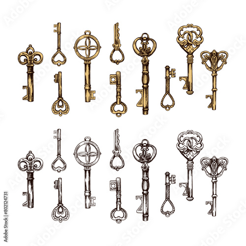 Hand-drawn colored and outline sketch set of vintage decorative keys with intricate forging. Ink and pen drawing illustration, keys on white background.