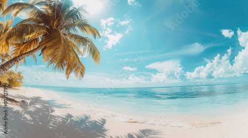 A beautiful beach with a palm tree in the foreground © Synthetica