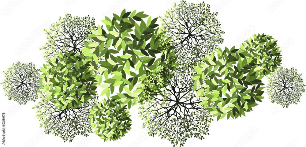 Tree for architectural floor plans. Entourage design. Various trees ...