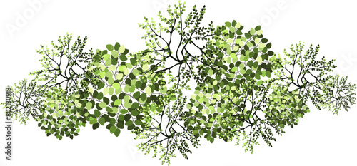 Tree for architectural floor plans. Entourage design. Various trees, bushes, and shrubs, top view for the landscape design plan. Vector illustration.