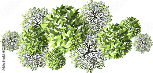 Tree for architectural floor plans. Entourage design. Various trees, bushes, and shrubs, top view for the landscape design plan. Vector illustration.