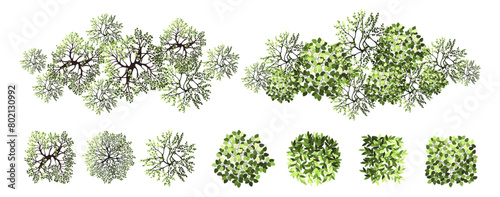Tree for architectural floor plans. Entourage design. Various trees, bushes, and shrubs, top view for the landscape design plan. Vector illustration.