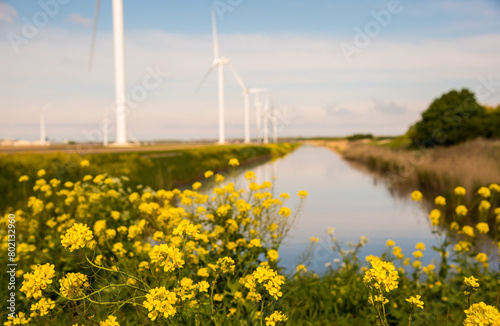 wind turbines in the field near the canal