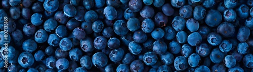 Blueberries are a delicious and nutritious fruit that can be enjoyed fresh, frozen, or dried photo