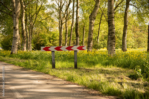 road sign on the forest road 