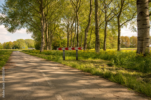 road sign on the forest road 