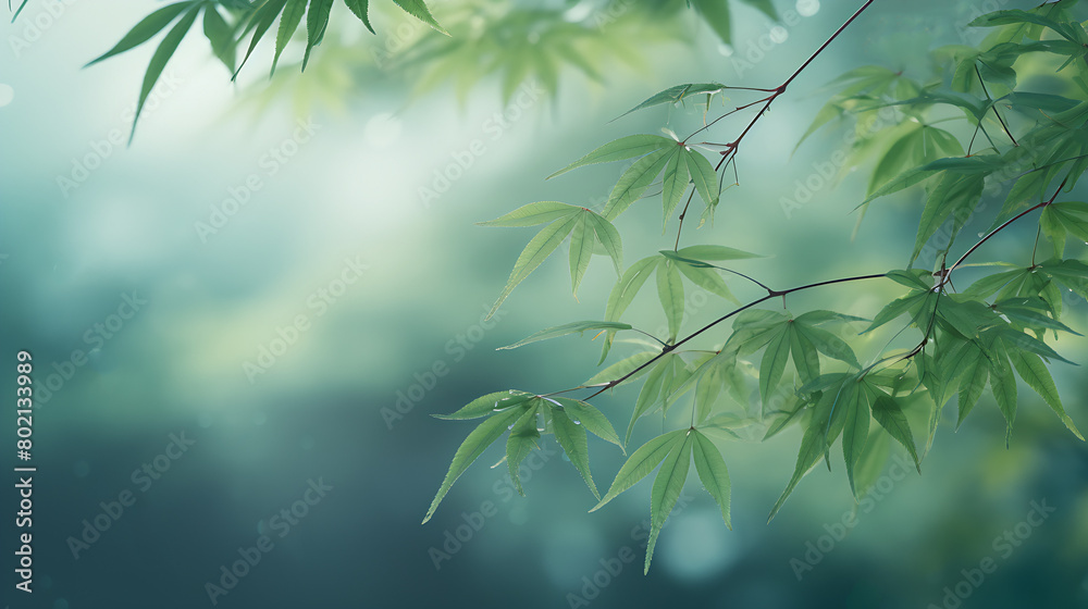 Maple leaf close-up on a green background Maple leaf close-up on a green background