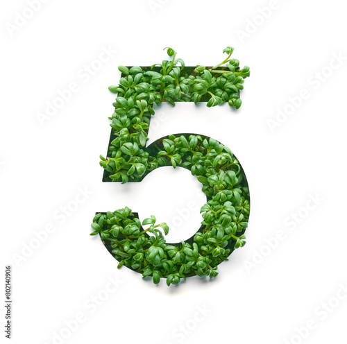 Number five is created from young green arugula sprouts on a white background.