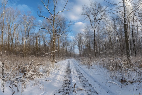 A snow-covered road cuts through a forest, creating a serene winter scene. The path leads into the distance, surrounded by trees blanketed in snow