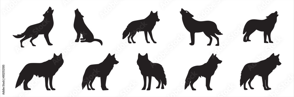 Set of wolf silhouettes. Wolf silhouette isolated.