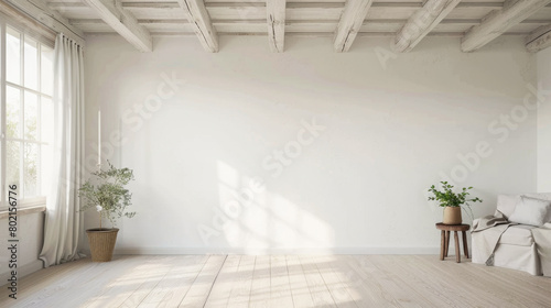 A large, empty room with a window and a plant. The room is very clean and has a minimalist feel