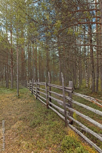 Scenery landscape with old rural wood fence  shrub and forest in cloudy spring weather.