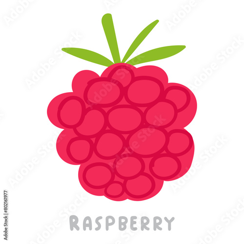 Raspberry. Vector flat design. Food illustration on white background. © Igor