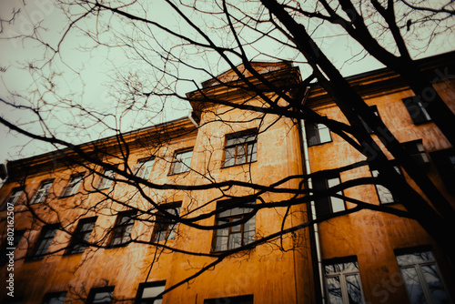 
A view of a yellow, old building in the classical style from below, with a tree with bare branches growing next to it. The scene is set in the city in April.