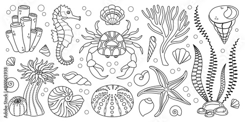Hand drawn line art sea life elements set. Aquatic animals, anemones, crab, algae, seashells, starfish, sea horse. Trendy doodle style underwater ecosystem coloring book. Vector illustration