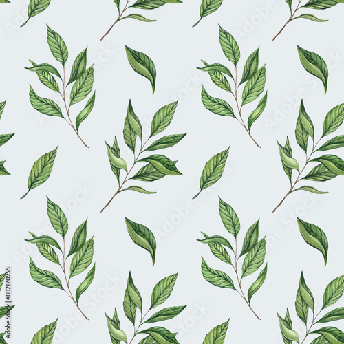 Watercolor seamless pattern with tea leaves on a colored background. Hand-drawn print with branches and green tea leaves. Baikhovy  black  green tea. Packaging design and design
