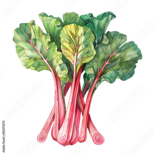  Red Swiss chard is packed with nutrients, including vitamins A, C, and K, as well as minerals like magnesium, potassium, and iron.
