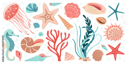 Hand drawn sea life elements set. Aquatic animals, anemones, jellyfish, algae, seashells, starfish, sea horse. Trendy flat doodle set underwater ecosystem for your design. Vector illustration