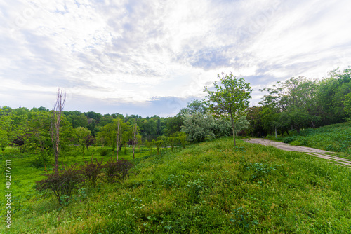 landscape with trees and clouds