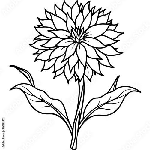 Cornflower flower plant outline illustration coloring book page design, Cornflower flower plant black and white line art drawing coloring book pages for children and adults 