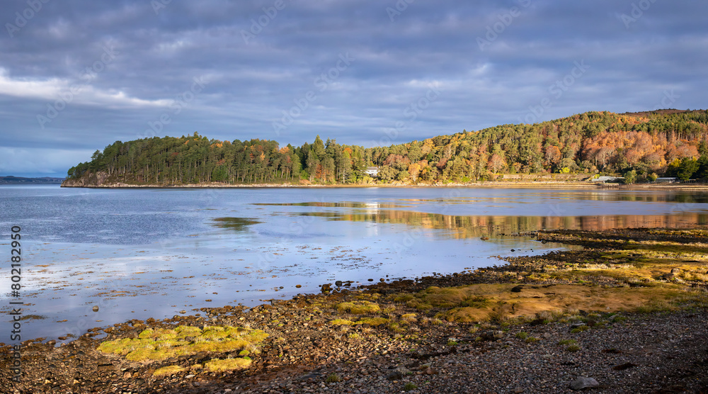 Distant woodlands of Inverewe gardens on the waters edge of Loch Ewe in autumn in the Scottish Highlands in Scotland, UK.