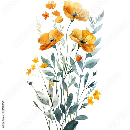 watercolor summer wildflower floral decoration