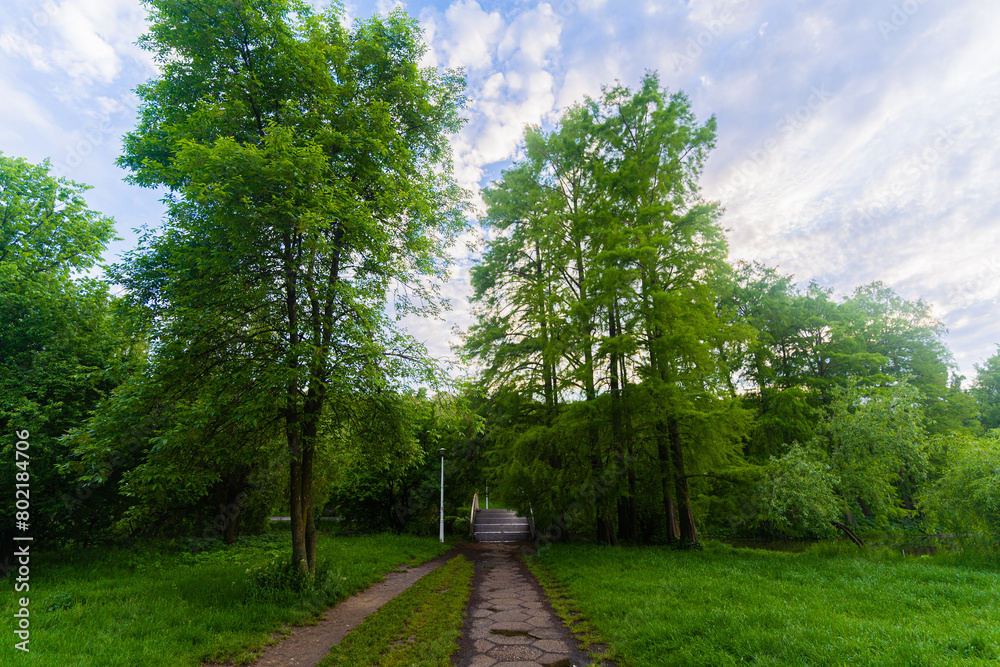 path in the park path in the park