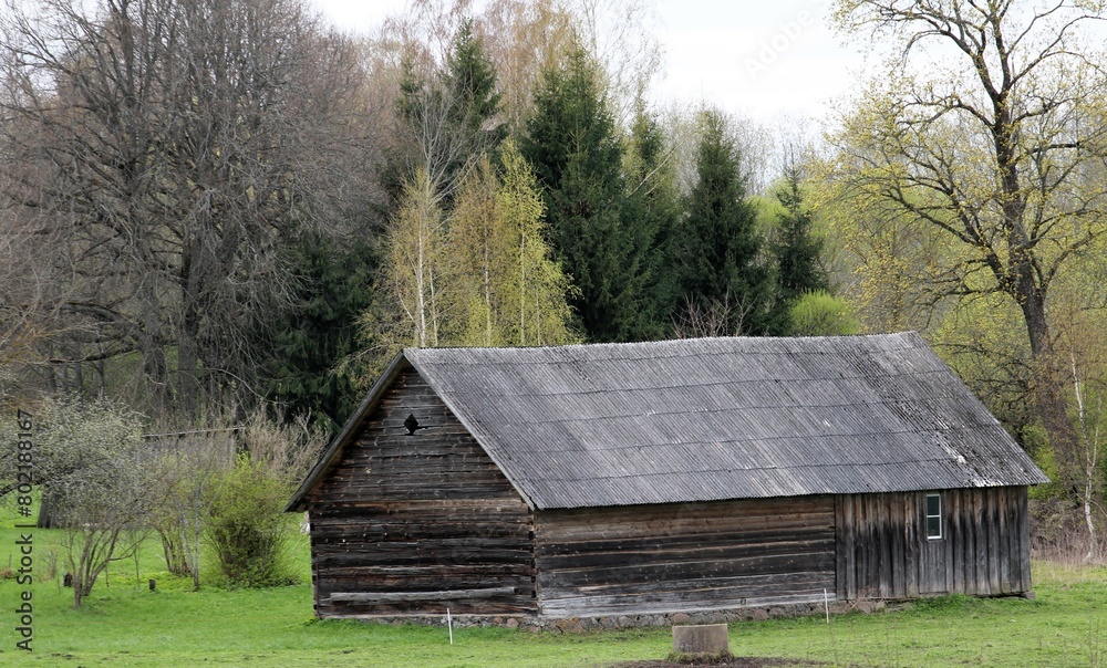 spring landscape with trees in the background and an old wooden barn in the foreground spring landscape with trees in the background and an old wooden barn in the foreground