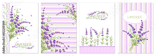 Set of cards with lavender flowers. Provence. Vector illustration isolated on white background. For poster, card, scrapbooking, stickers
