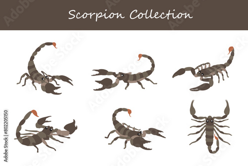Scorpion collection. Scorpion in different poses. Vector illustration.