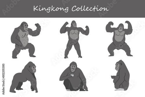 Kingkong collection. Kingkong in different poses. Vector illustration.